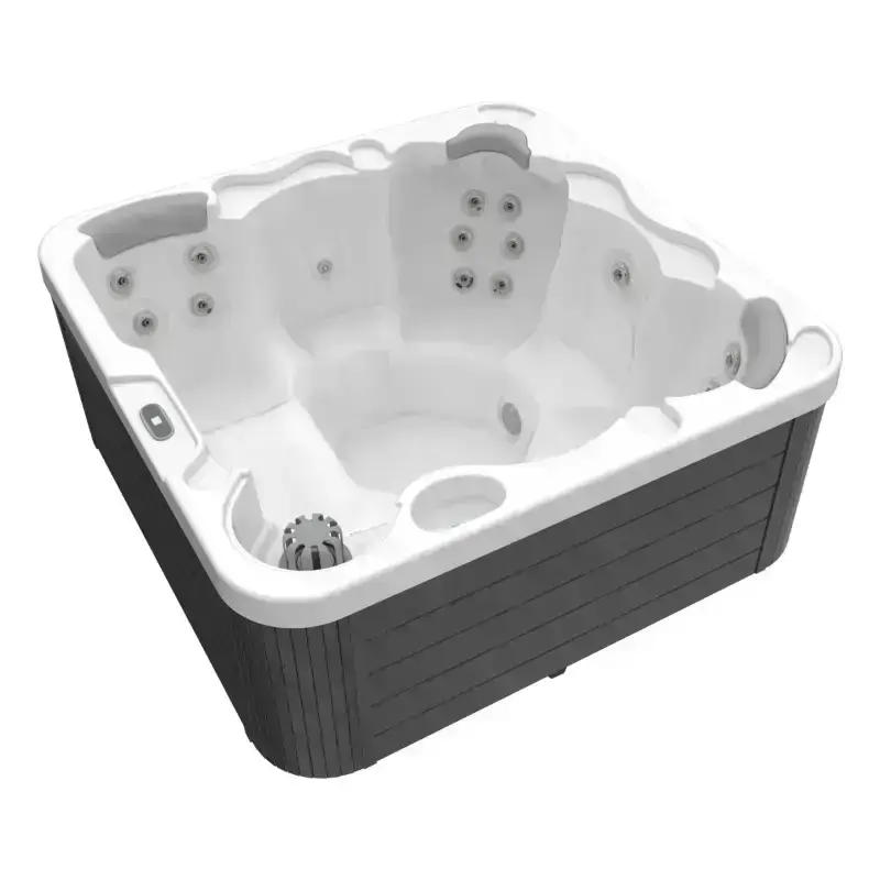Spa Wellis Castor P&P 6 places – ClassicLine – vue 2